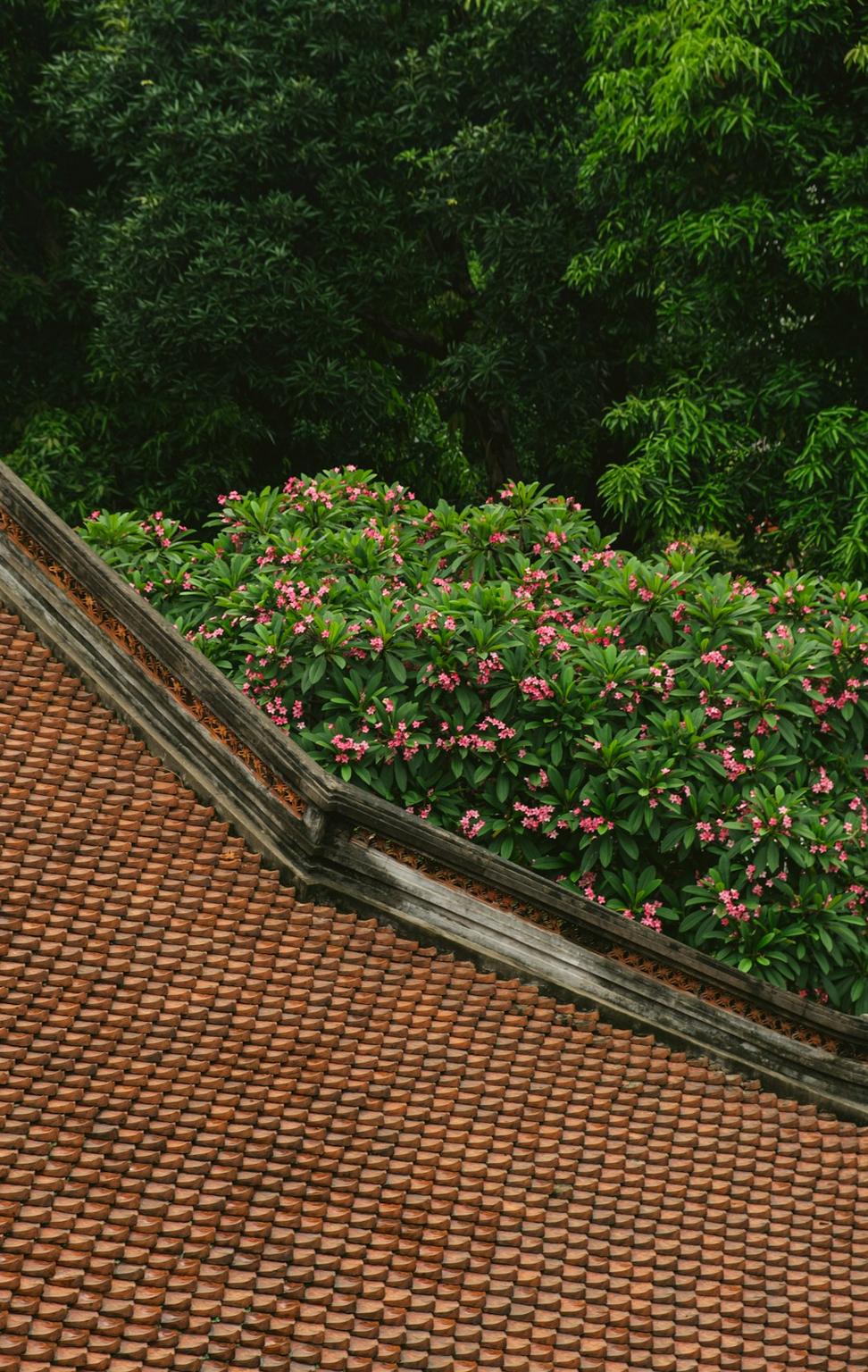 Green roof integration