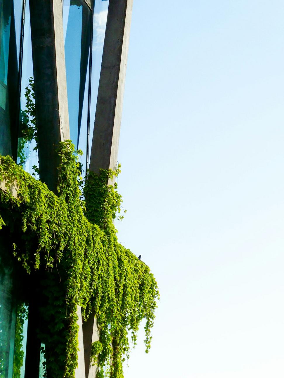 Vancouver Sustainable Architecture